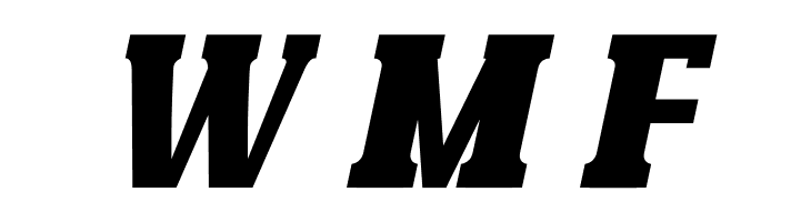 Bonaro Clean Italic Demo Clean Italic  Free Fonts Download