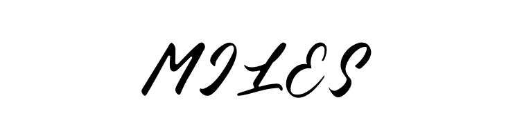 Blessed Friday Rounded  Free Fonts Download