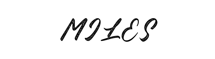 Blessed Friday Textured  Free Fonts Download