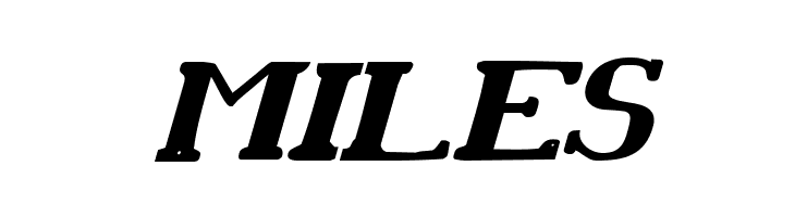 Chardin Doihle Bold Italic  Free Fonts Download