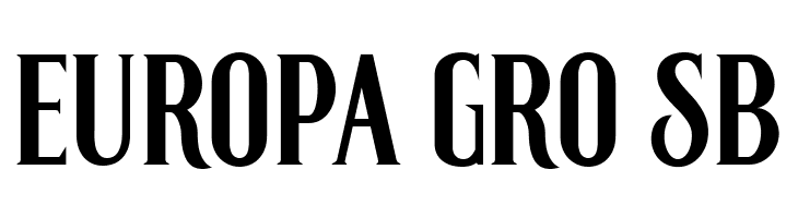 Roenksyncnew  Free Fonts Download