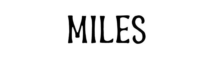 BrandersDEMO  Free Fonts Download