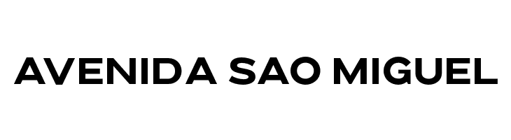 Brolink DEMO  Free Fonts Download