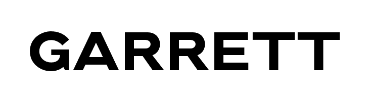 Brolink DEMO  Free Fonts Download