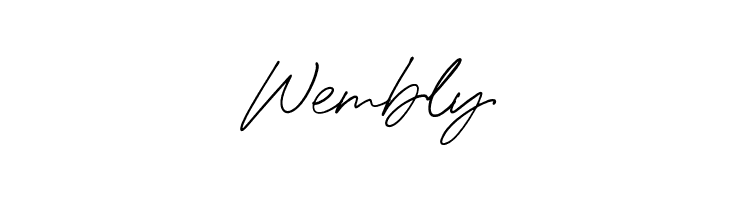 HolybuckDEMO  Free Fonts Download