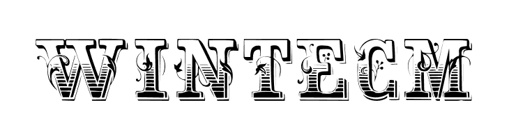 MaxInitiale  Free Fonts Download