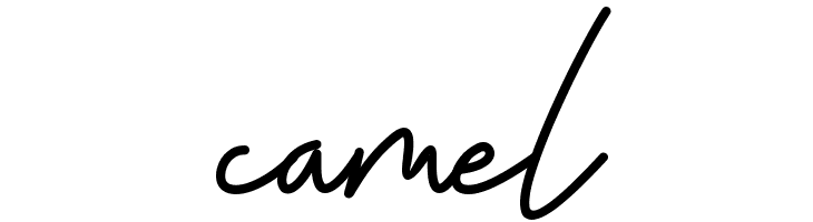 Sky Fly Script - Personal Use  Free Fonts Download