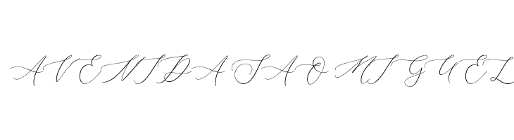 Almara  Free Fonts Download