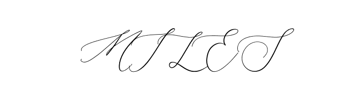 Almara  Free Fonts Download