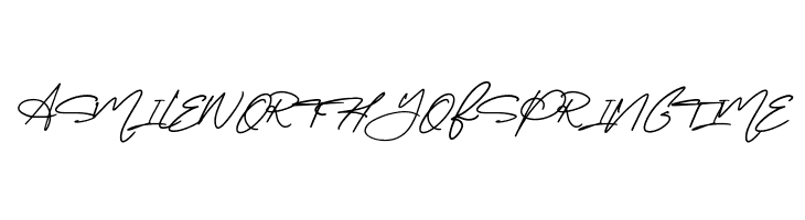 Amerika Signature Demo Regular  Free Fonts Download