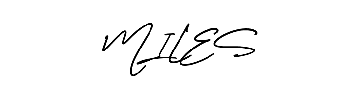 Amerika Signature Demo Regular  Free Fonts Download