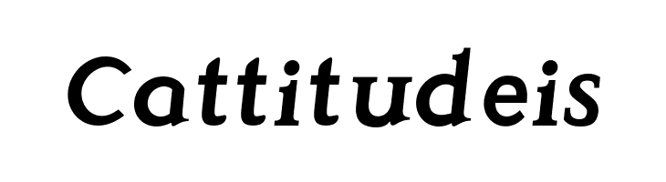 Perspicacious Italic Bold  Free Fonts Download