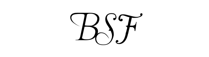 BSF The Last Font I'm Wasting On You Italic Font