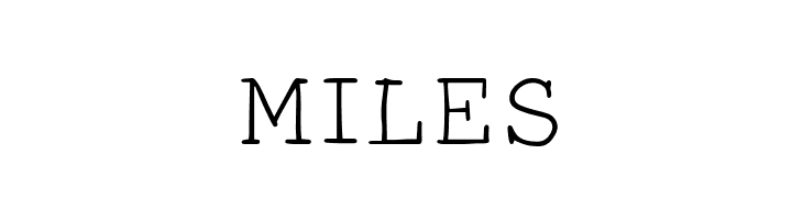 Smart Chameleon  Free Fonts Download