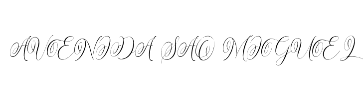 Sunchery Script  Free Fonts Download