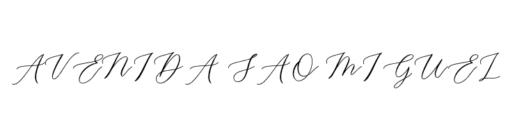 Biancha  Free Fonts Download