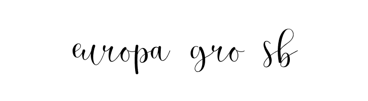 Rashany-demo  Free Fonts Download