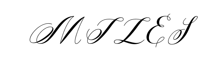 Aleycha  Free Fonts Download