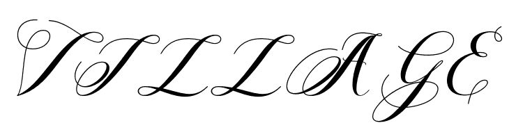 Aleycha  Free Fonts Download