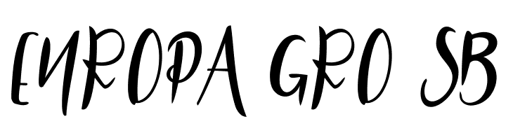 LITTLESTAR-Bold  Free Fonts Download