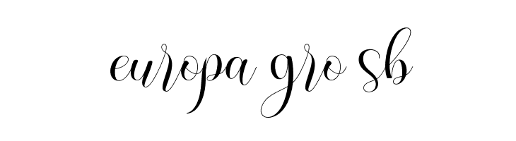 EverytimeScript  Free Fonts Download