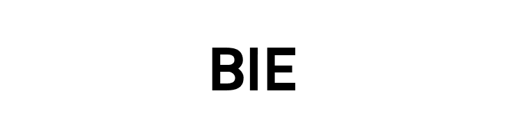 Alesand Extra Bold  Free Fonts Download