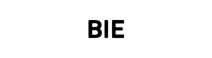 Alesand Round Extra Bold  Free Fonts Download