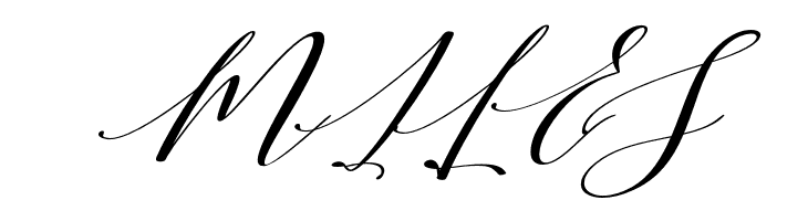 Shington  Free Fonts Download