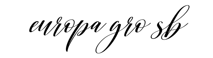 Shington  Free Fonts Download