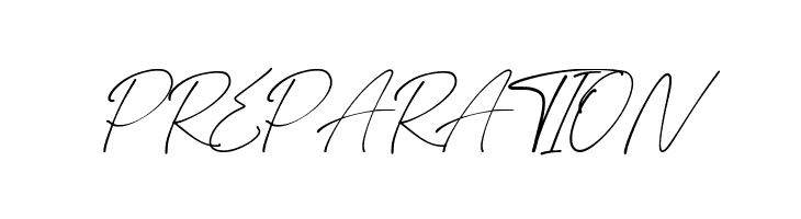 Asthacy Reny  Free Fonts Download