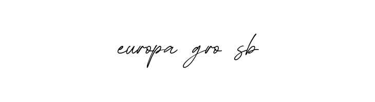 Asthacy Reny  Free Fonts Download