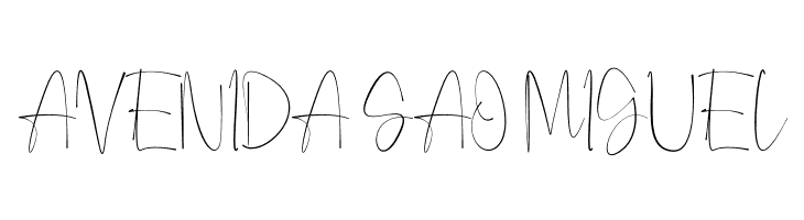 Anjany Sallentiny  Free Fonts Download