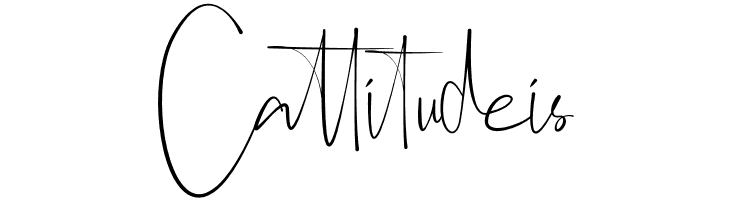 Anjany Sallentiny  Free Fonts Download