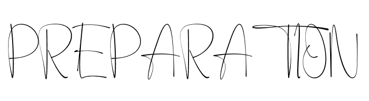 Anjany Sallentiny  Free Fonts Download