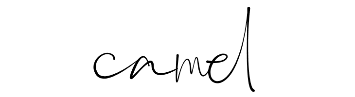 Anjany Sallentiny  Free Fonts Download