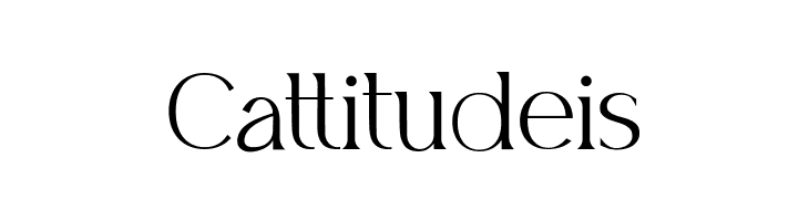 Belfina Husairy Regular  Free Fonts Download