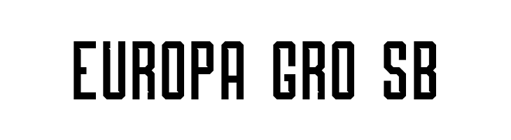 Roguedash Solid  Free Fonts Download