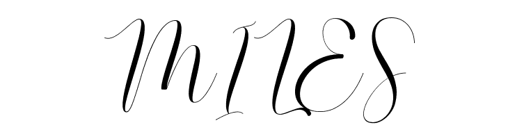 RusthinaScript  Free Fonts Download