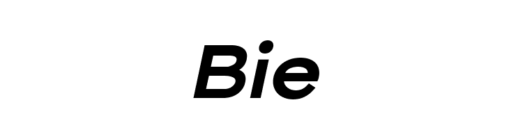 The Qlickers Bold Italic  Free Fonts Download