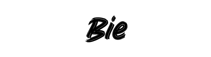 Bingo Reky  Free Fonts Download