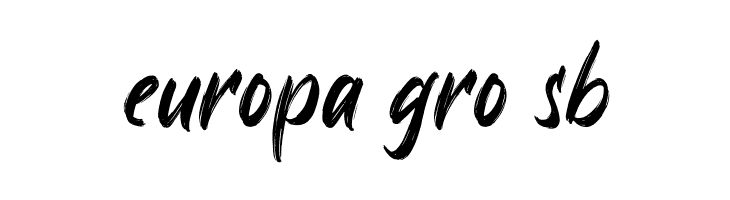 Ayus  Free Fonts Download