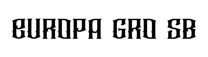 Raizen  Free Fonts Download