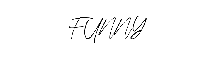 Virgi Theory  Free Fonts Download