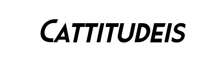 Pages Grotesque Demo Bold Italic  Free Fonts Download