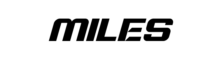 Typo Speed Bold Demo Italic  Free Fonts Download