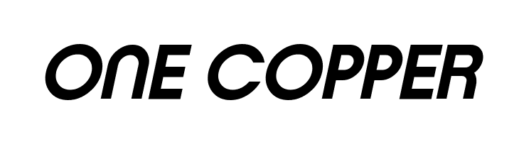 Typo Ring Demo Bold Italic  Free Fonts Download