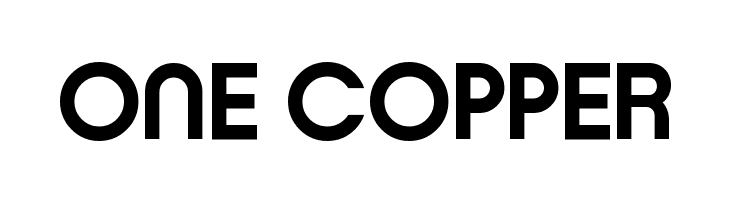 Typo Ring Demo Bold  Free Fonts Download