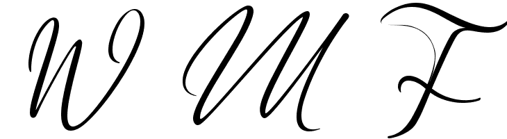 Saturdate Script  Free Fonts Download