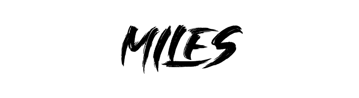 SINGLEFIGHTER  Free Fonts Download