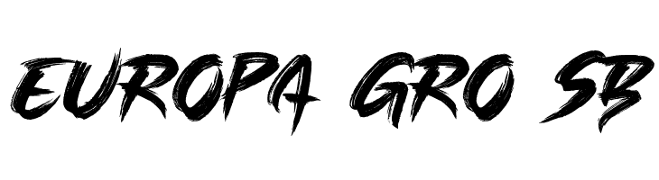 SINGLEFIGHTER  Free Fonts Download